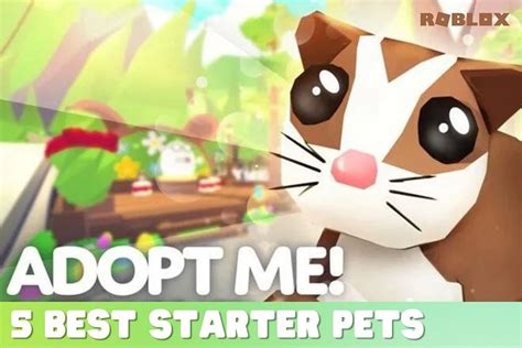 starter pets gg.